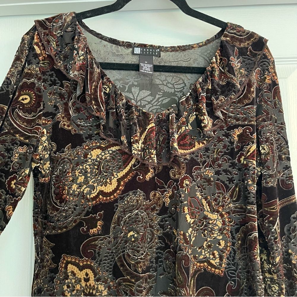 Women's Paisley Velvet Long Sleeve Blouse - Picture 6 of 10